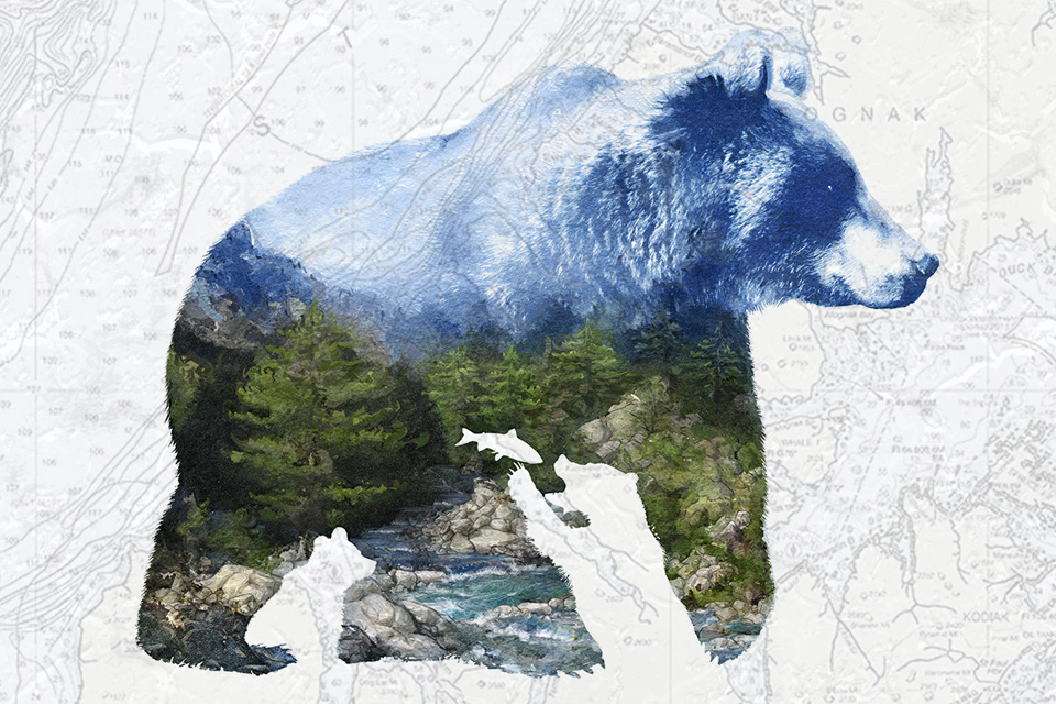 kodiak, illustration alternative utilisée sur le livret de règles