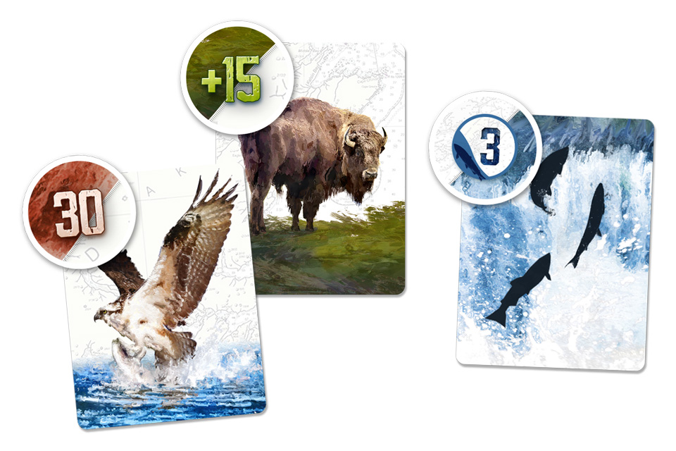 kodiak, exemples de cartes